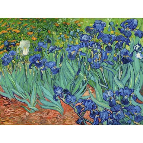 Wall art print and canvas. Vincent van Gogh, Irises