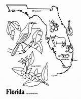Florida Coloring Pages To Print  Free Printable sketch template
