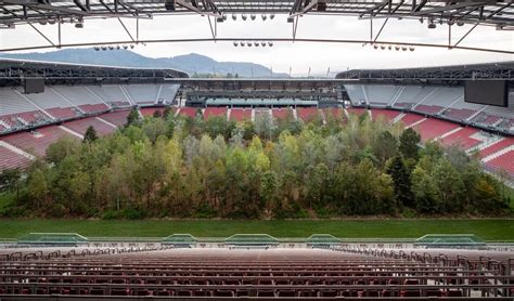 Soccer Stadium Turned Into Massive Forest