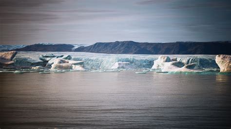 many melting icebergs in Antarctica 5576321 Stock Video at Vecteezy