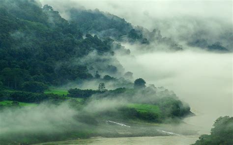 Wallpaper : 1920x1200 px, forest, grass, green, India, landscape, mist, mountain, nature, river ...