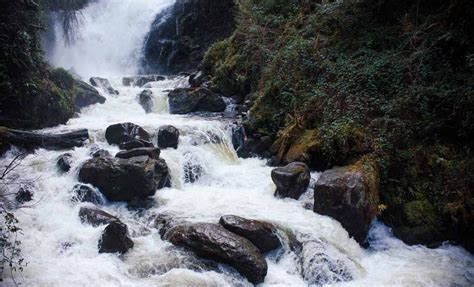 Torc Mountain in Killarney National Park: Hiking Ireland - The Idyll