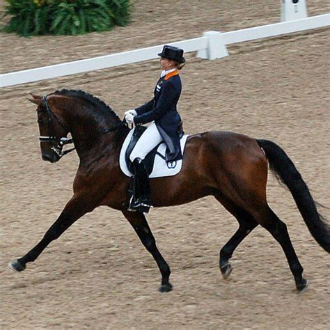 Paris Olympics 2024 Equestrian Dressage - Tarah Francene