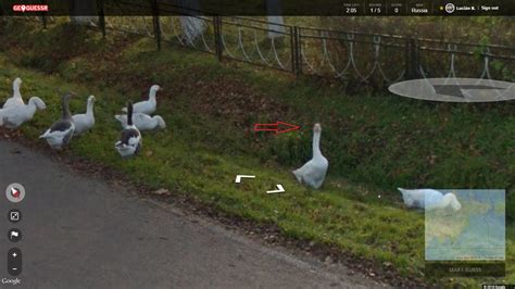 Even geese have blurred faces lol : r/geoguessr