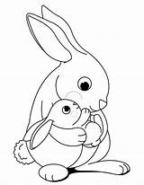 Mother And Baby Rabbit coloring Page  Download Print Or Color Online sketch template