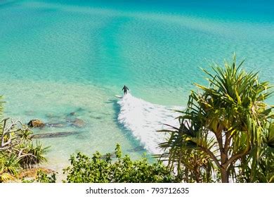 407 Greenmount surfing Images, Stock Photos & Vectors | Shutterstock