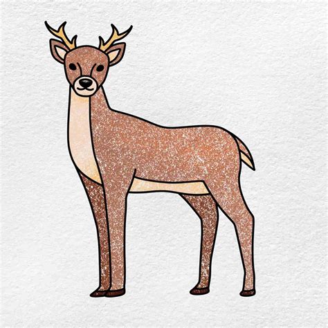 How to Draw a Deer - HelloArtsy