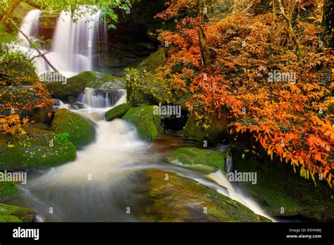 beautiful waterfall in rainforest at phu tub berk mountain phetchabun, Thailand (Mun Dang ...