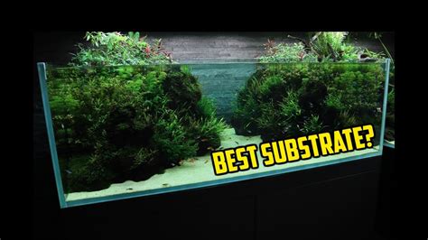 Best Aquarium Substrate: Enhance Your Tank's Health & Beauty - Aquariuman