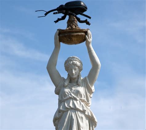 Fear No Weevil ‒ 6 Lessons In Resourcefulness From The History Of The Boll Weevil