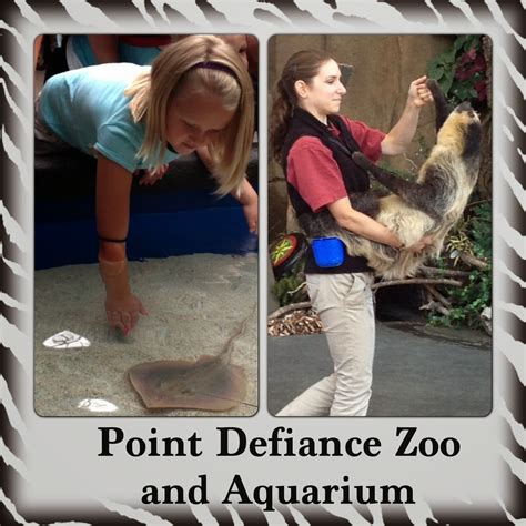 Enjoying the Journey: Point Defiance Zoo