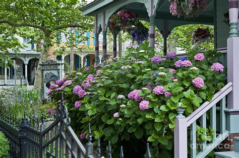 Victorian House And Garden Photograph by John Greim