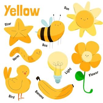 Free Vector | Yellow objects and vocabulary words