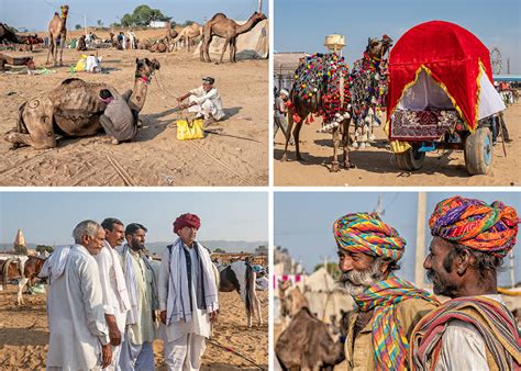 Two Days at the Pushkar Camel Fair - India Up Close