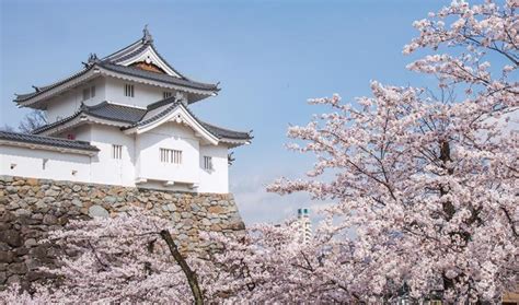 Kofu Castle/Official Travel Guide Yamanashi