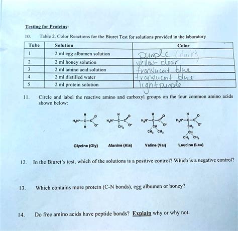 SOLVED: Title: Biuret Color Reactions for Various Solutions in the ...