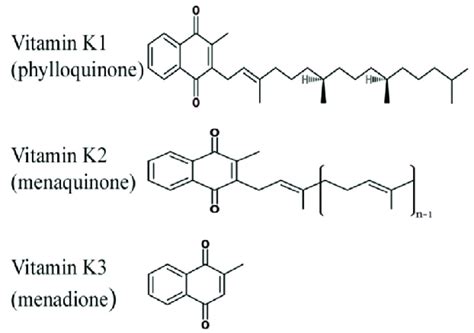 Vitamin K Structure