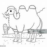 Bactrian Camel Animal Coloring Page For Kids Stock Illustration  sketch template