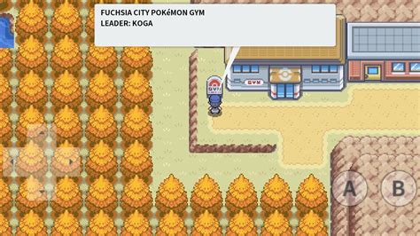 Fuchsia City Pokemon Gym - PokeMMO : Region Kanto - YouTube