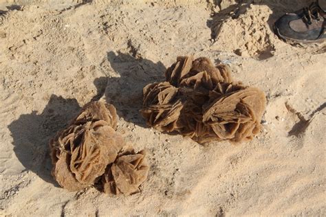 Saudi Scenes: Sand Roses