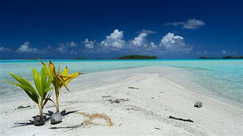 Beaches in French Polynesia: Best Beaches in Tahiti and Her Islands