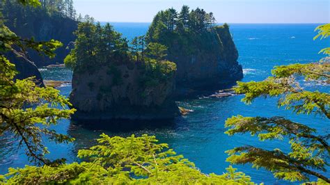 Cape Flattery in Neah Bay, Washington | Expedia