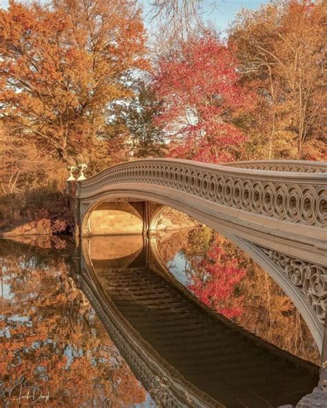 Autumn bridge in Central Park : r/pics