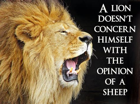 Amazon.com: Lion Motivational Poster Motivational Poster Inspirational ...