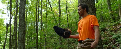 Why Preserving Old Growth Forests Is Key to Chaga Sustainability with Garrett Kopp of Birch Boys ...