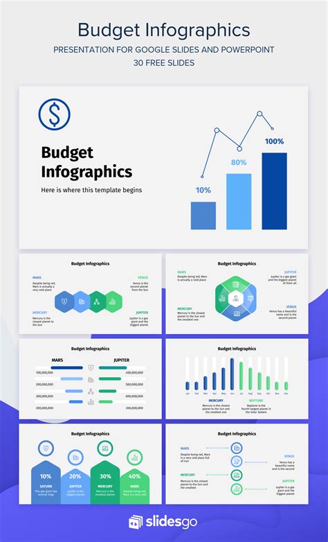 Budget Infographics Google Slides and PowerPoint template