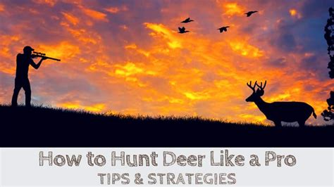 Deer Hunting Tips & Strategies for Beginners - How to Hunt Like a Pro