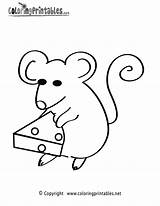 Mouse Coloring Pages Printable Kids Mice  sketch template