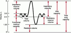 Spirometry Demystified – EmergencyPedia