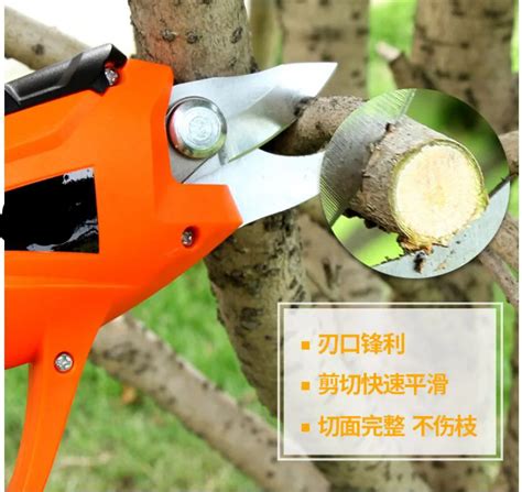 Electric Tree Branch Cutter Shear Garden Scissors Cordless Secateur Branch Cutter Electric Fruit ...