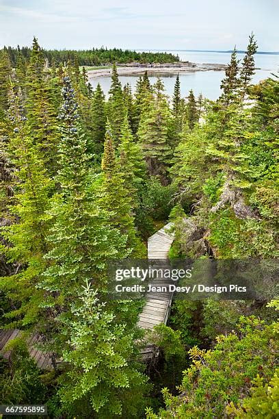 65 Mingan Archipelago National Park Reserve Stock Photos, High-Res ...