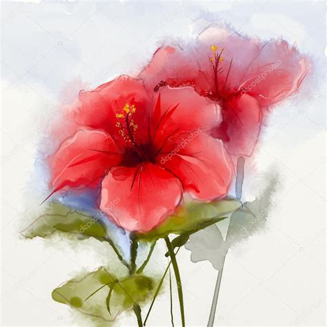 Images: paintings of hibiscus flowers | Watercolor painting red hibiscus flower — Stock Photo ...