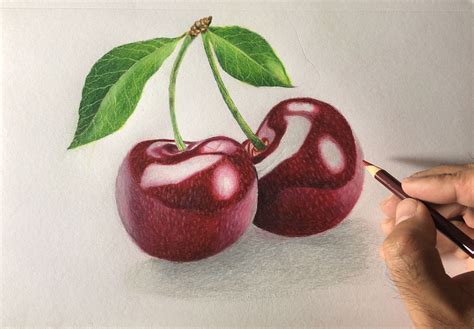 Realistic Cherries Drawing with Prismacolor Pencils