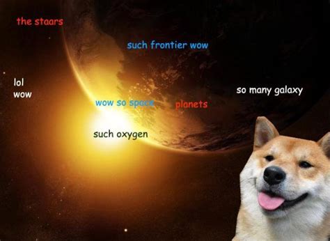 Space Doge. | Doge meme, Funny pictures, Funny memes