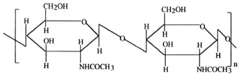 Chitin | Chitosan