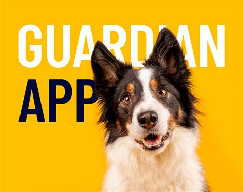 Guardian App on Behance