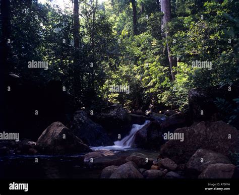 NEYYAR WILDLIFE SANCTUARY TRIVANDRUM KERALA Stock Photo - Alamy