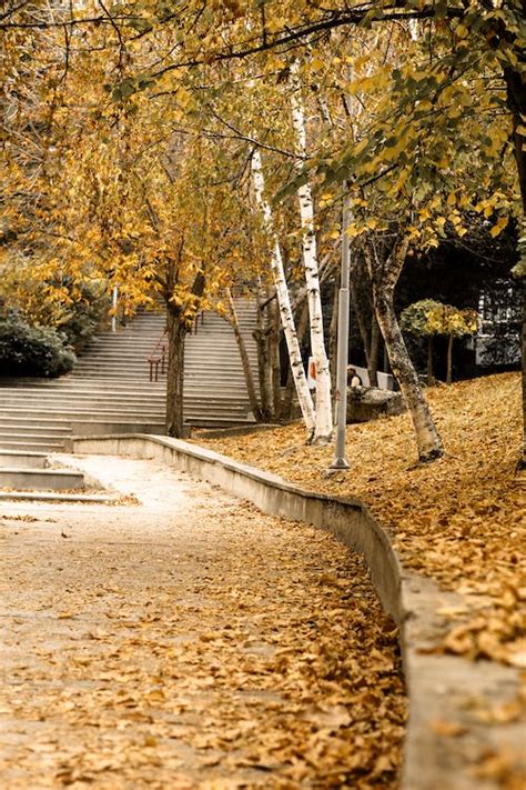 City Park in Autumn · Free Stock Photo