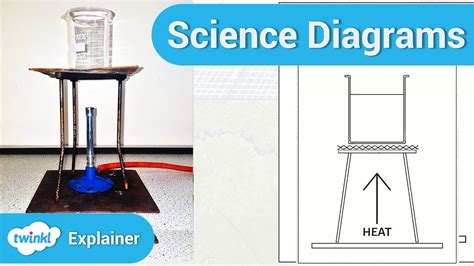 Science Diagrams in UKS2 Science - YouTube