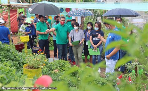 Best Gulayan sa Barangay (GSB) | Politiko Central Luzon