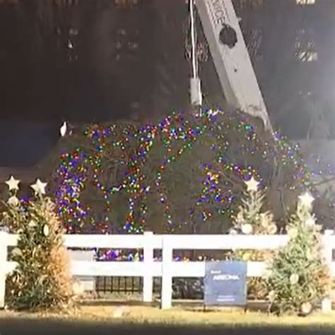 Strong winds topple National Christmas Tree outside White House