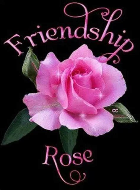 Friendship Rose Pictures, Photos, and Images for Facebook, Tumblr, Pinterest, and Twitter