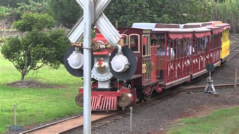 Dole Plantation Train Ride Wahiawā, HI - YouTube