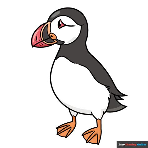 How to Draw a Puffin - Really Easy Drawing Tutorial