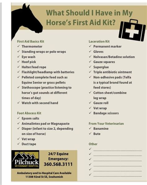 Things to have in a first aid kit for your horse | Horse care, Horse care tips, Horse information