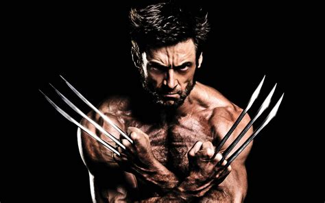 [100+] Wolverine Wallpapers | Wallpapers.com